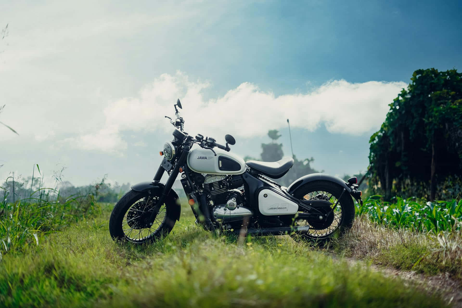 Jawa Motorfiets In De Natuur Achtergrond