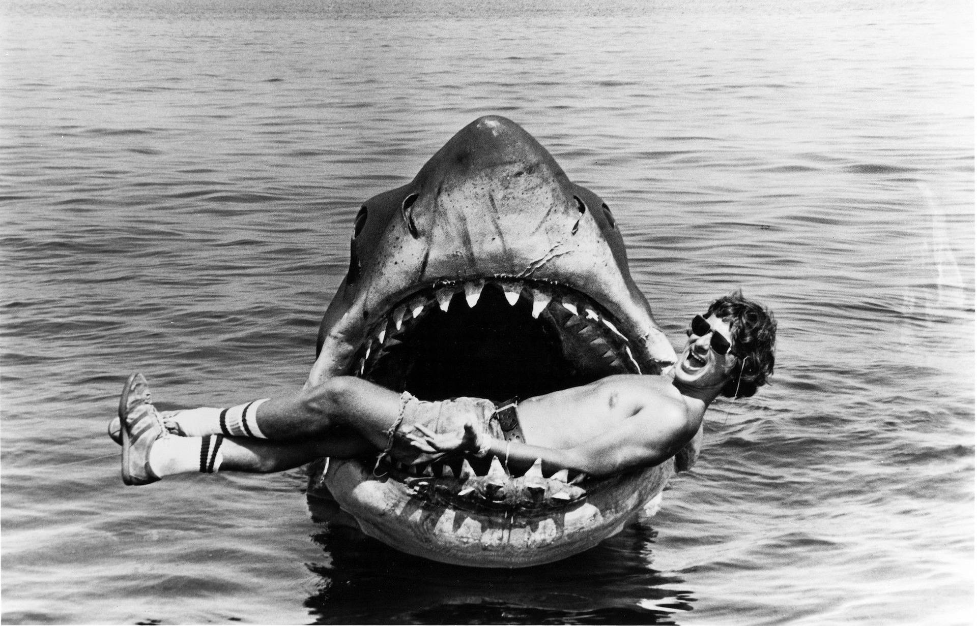 Jaws Black And White