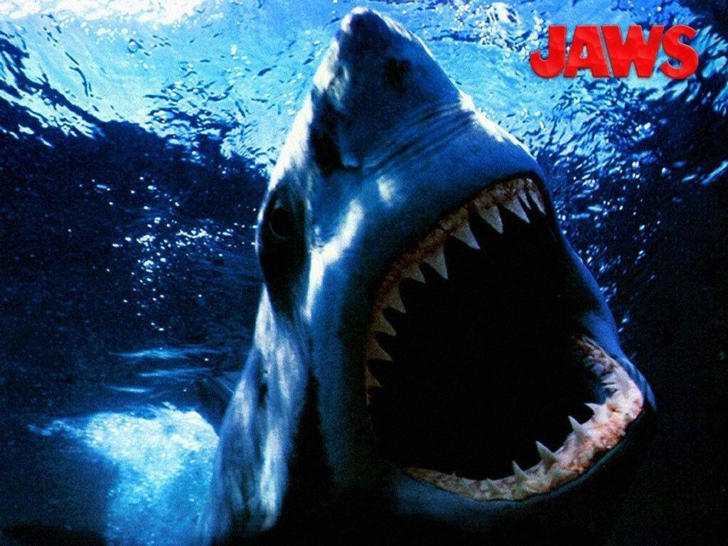 Jaws Shark With Sharp Teeth