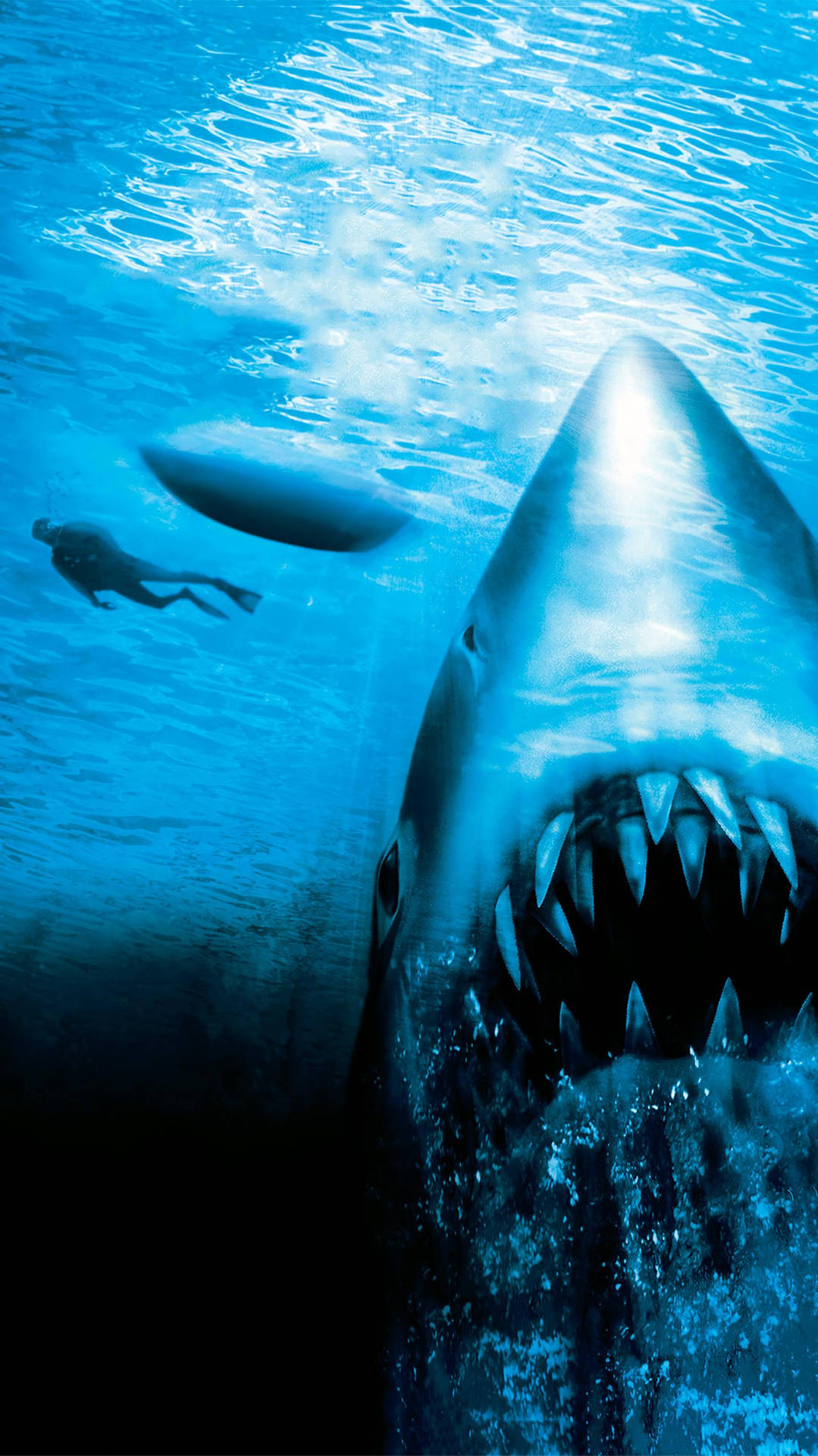 Jaws The Revenge Poster