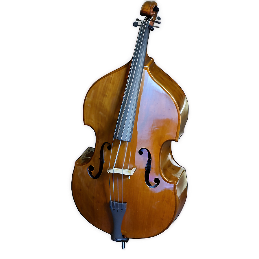 Jazzy Double Bass Png 39 PNG