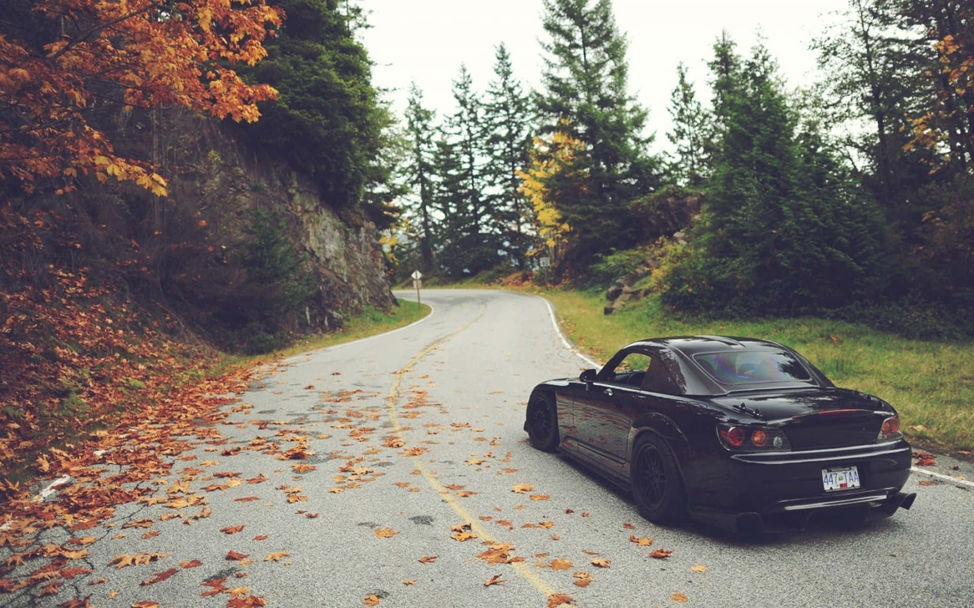 A Black Sports Car Parked On A Road With Leaves