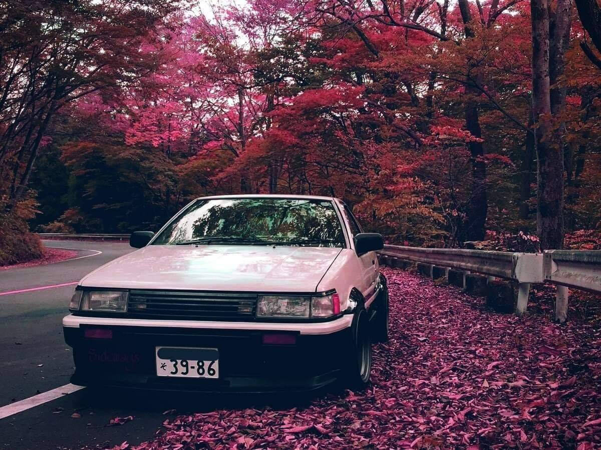 Jdm Car With Pink Leaves Wallpaper