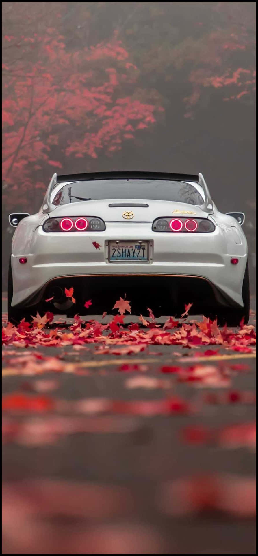 A White Sports Car Is Parked In The Middle Of A Field Of Leaves