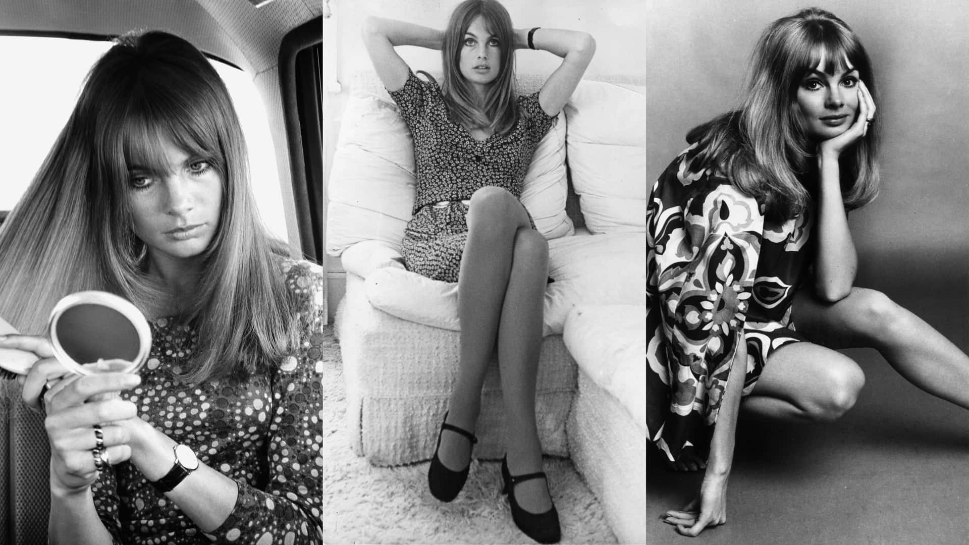 Download Jean_ Shrimpton_ Triptych Wallpaper | Wallpapers.com