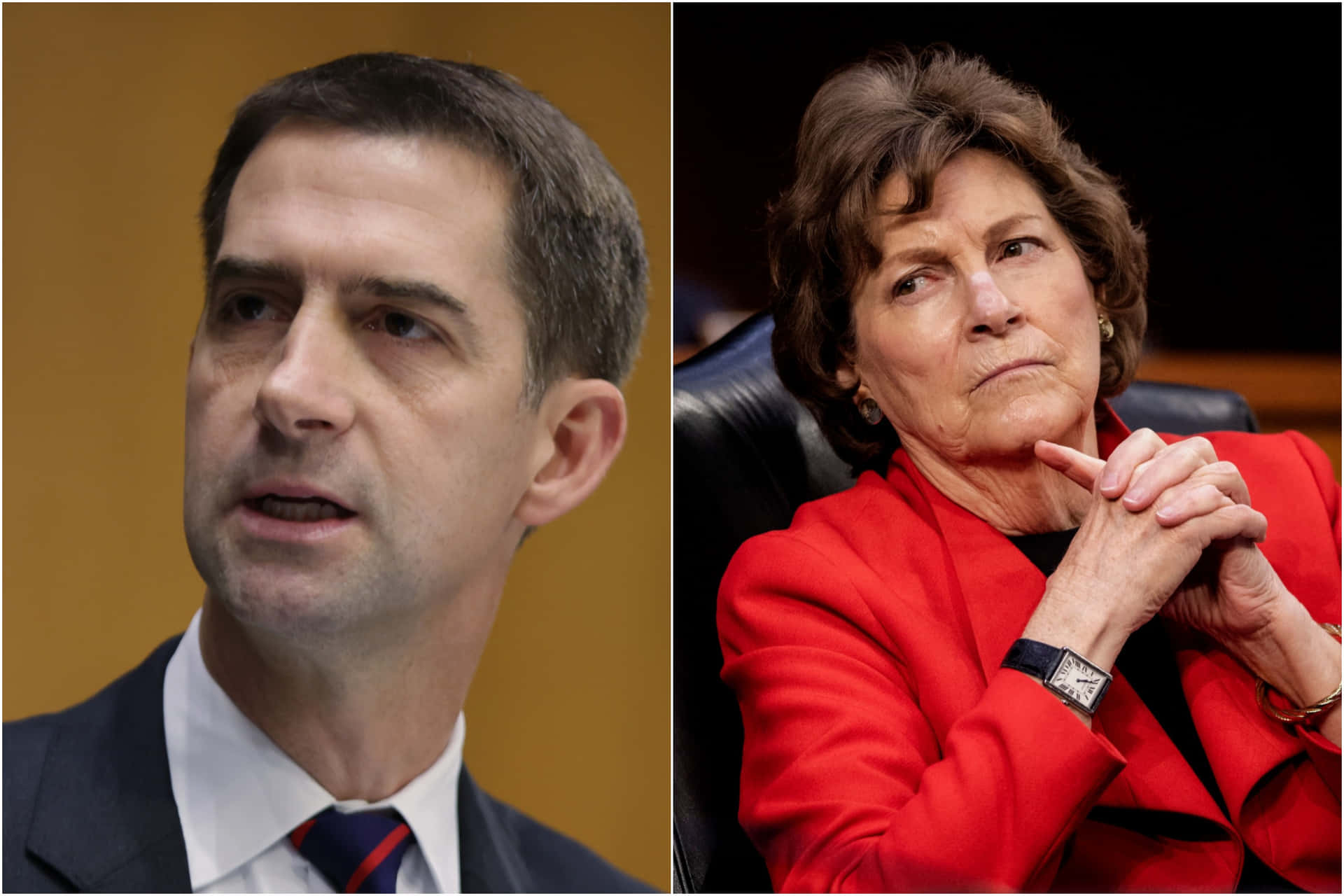 Jeanne Shaheen And Tom Cotton Wallpaper