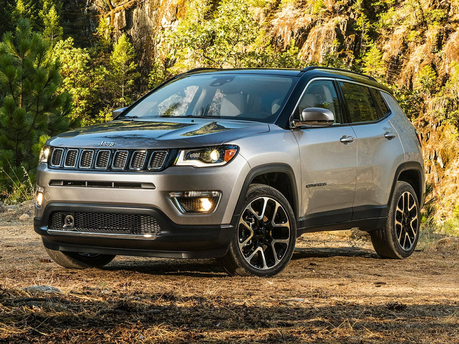 Jeep Compass Gray With Forest Background Wallpaper