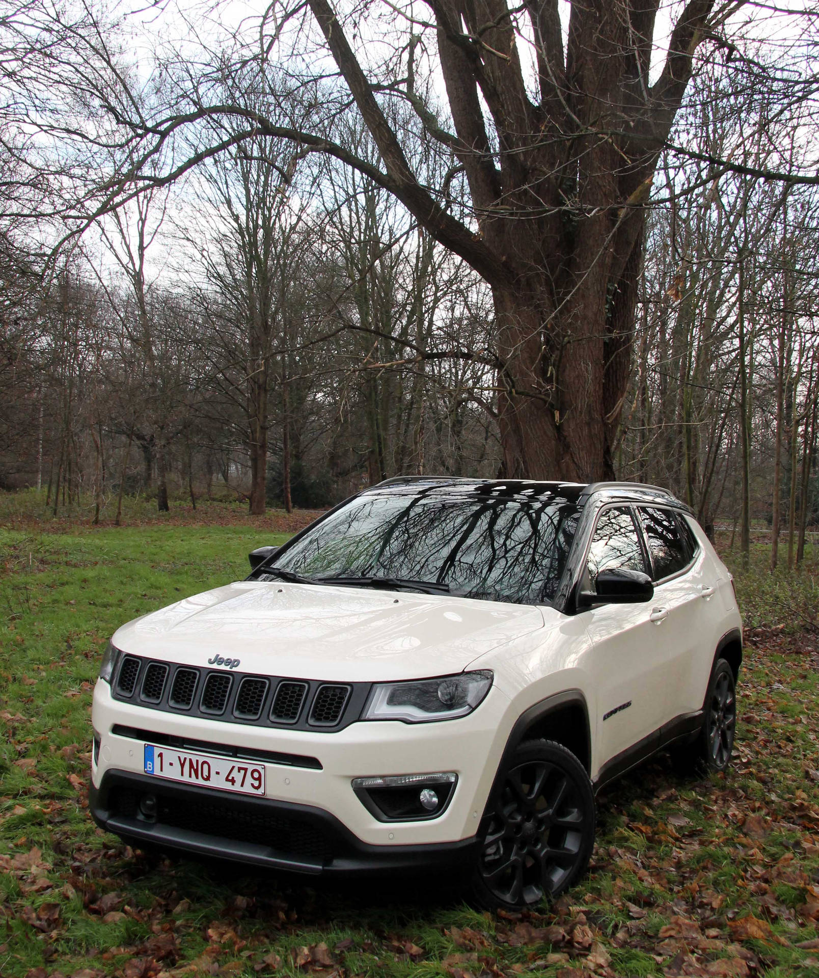 Jeep Compass White Aesthetic By Tree Wallpaper