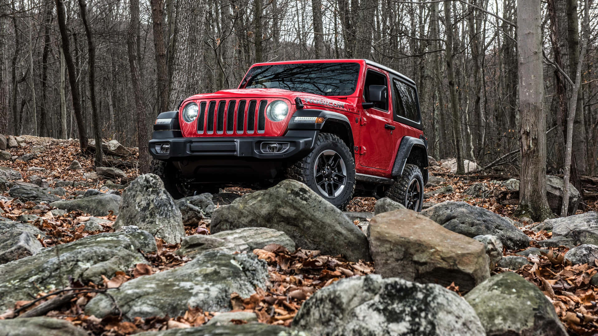 A Red Jeep Is Driving Through The Woods