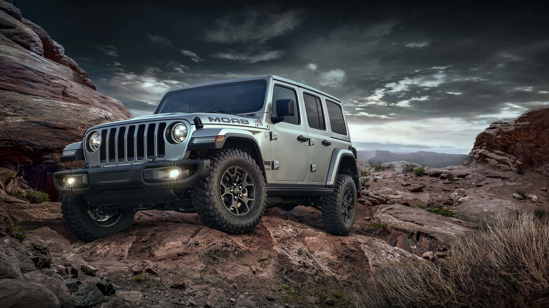 Take a Ride on the Wild Side with a Jeep