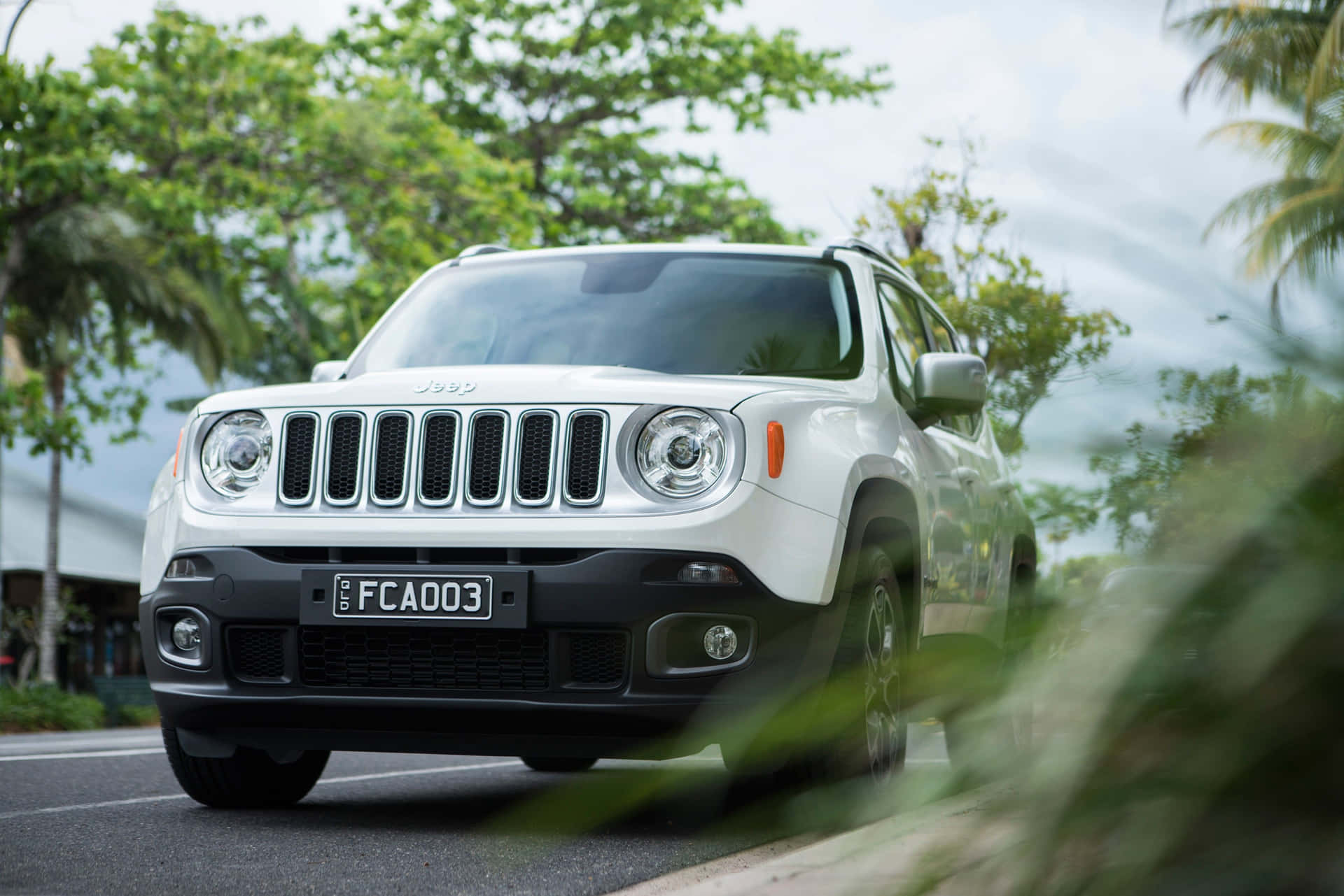 Adventure Begins with a Jeep Renegade Wallpaper