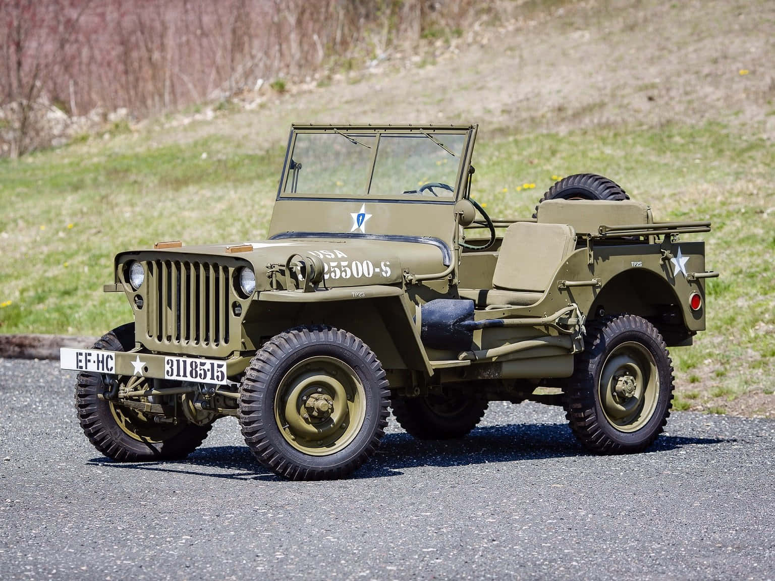 Classic Jeep Willys in the Wild Wallpaper