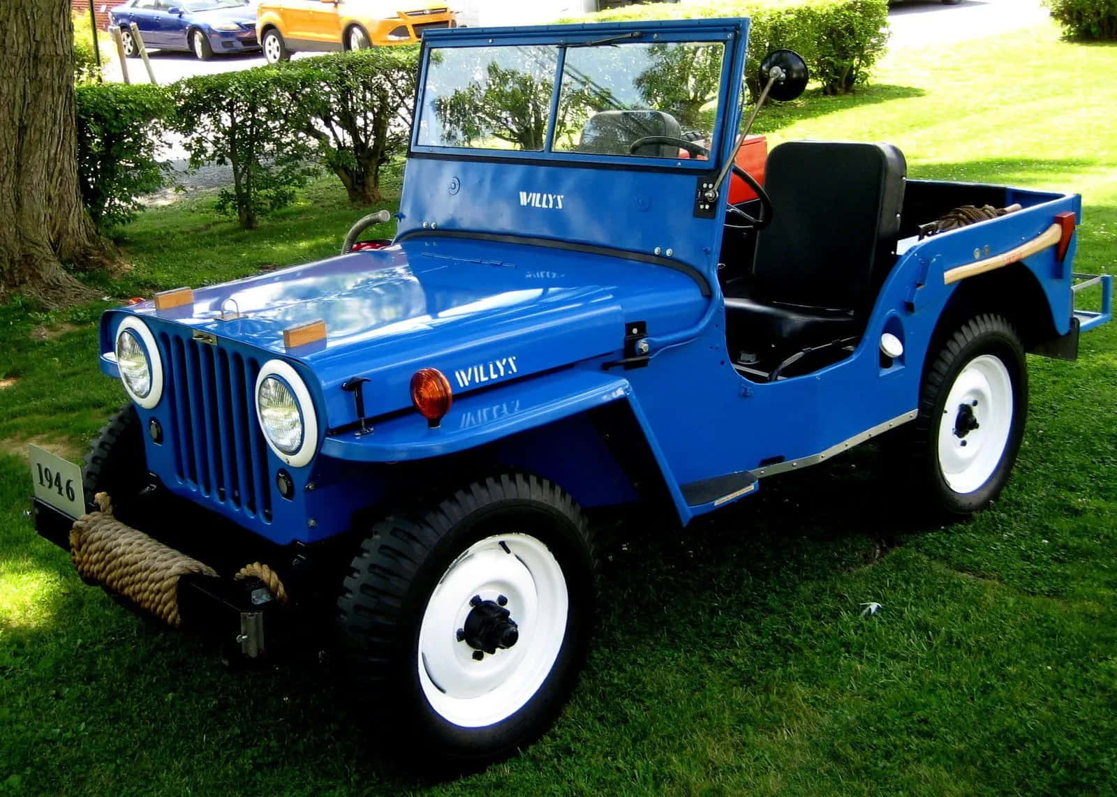 Klassieke Jeep Willys Op Een Schilderachtig Pad Achtergrond