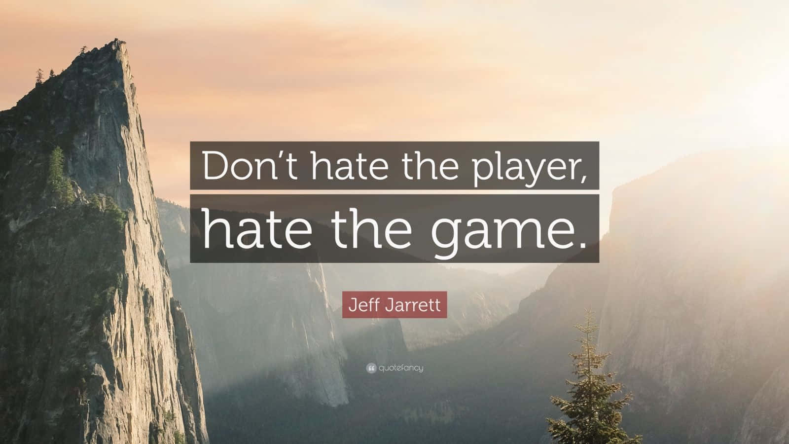 Jeff Jarrett Don't Hate Life Quotes Typography Wallpaper