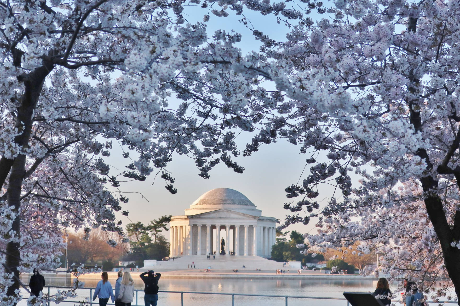 Jefferson Memorial At Spring Background
