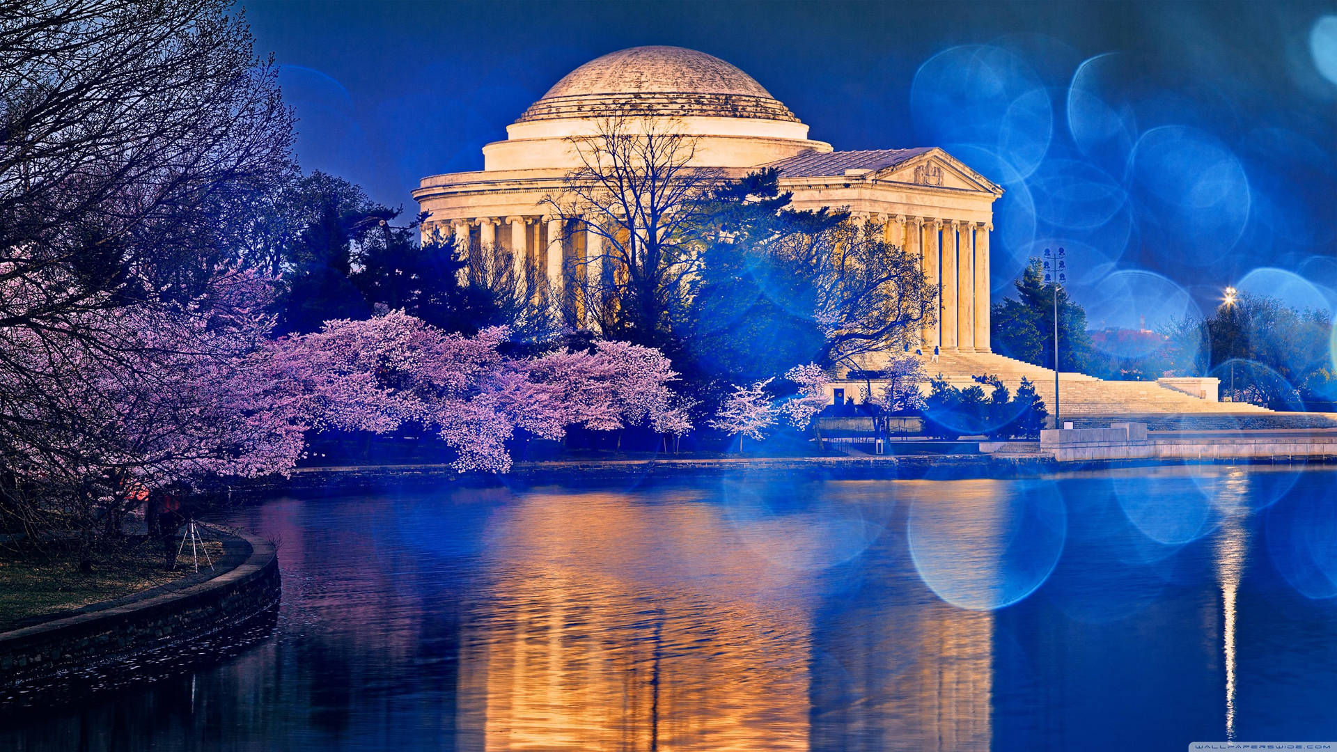 Jefferson Memorial Blue Light Orbs Picture