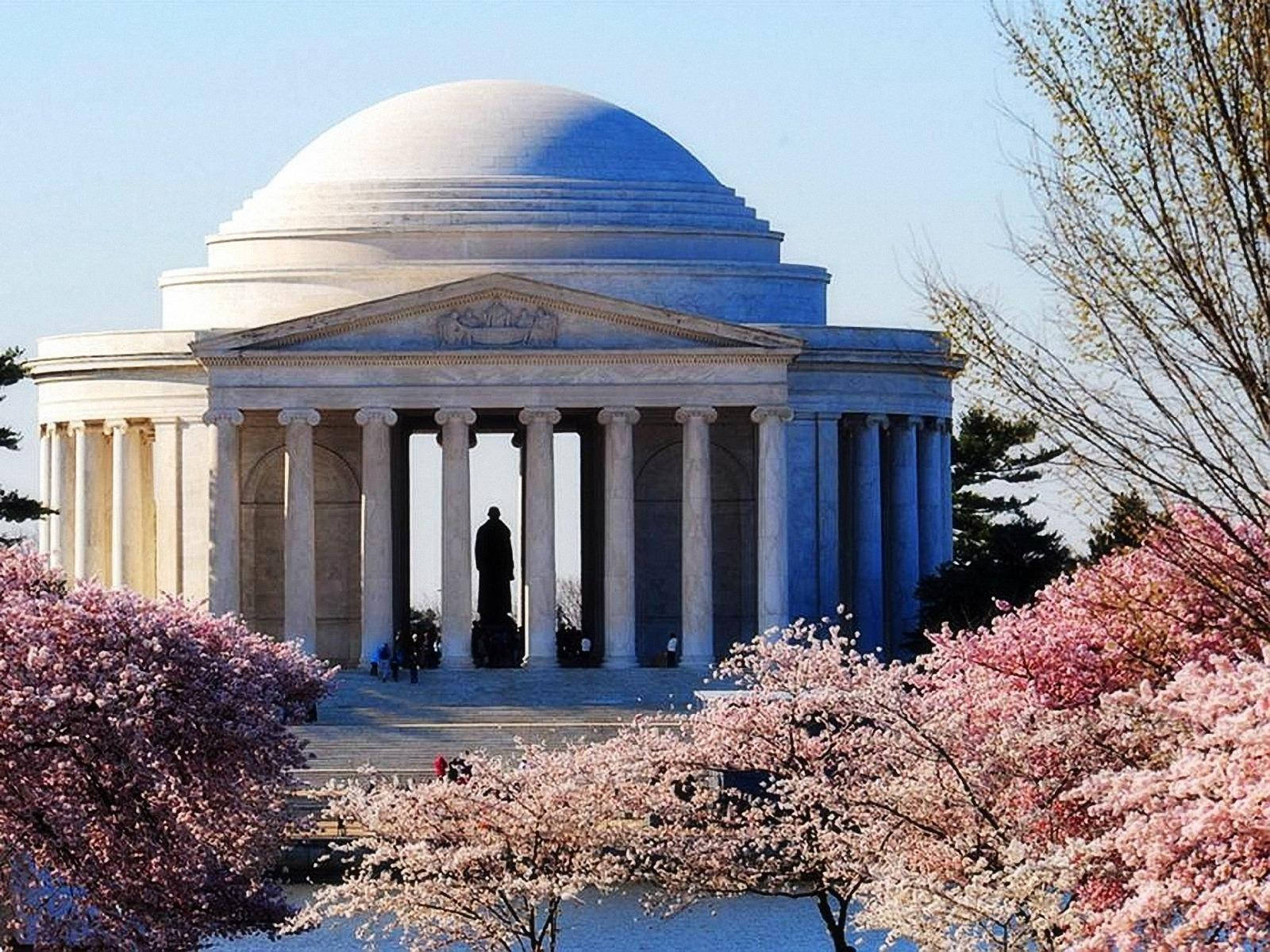 Jefferson Memorial Cherry Trees Picture