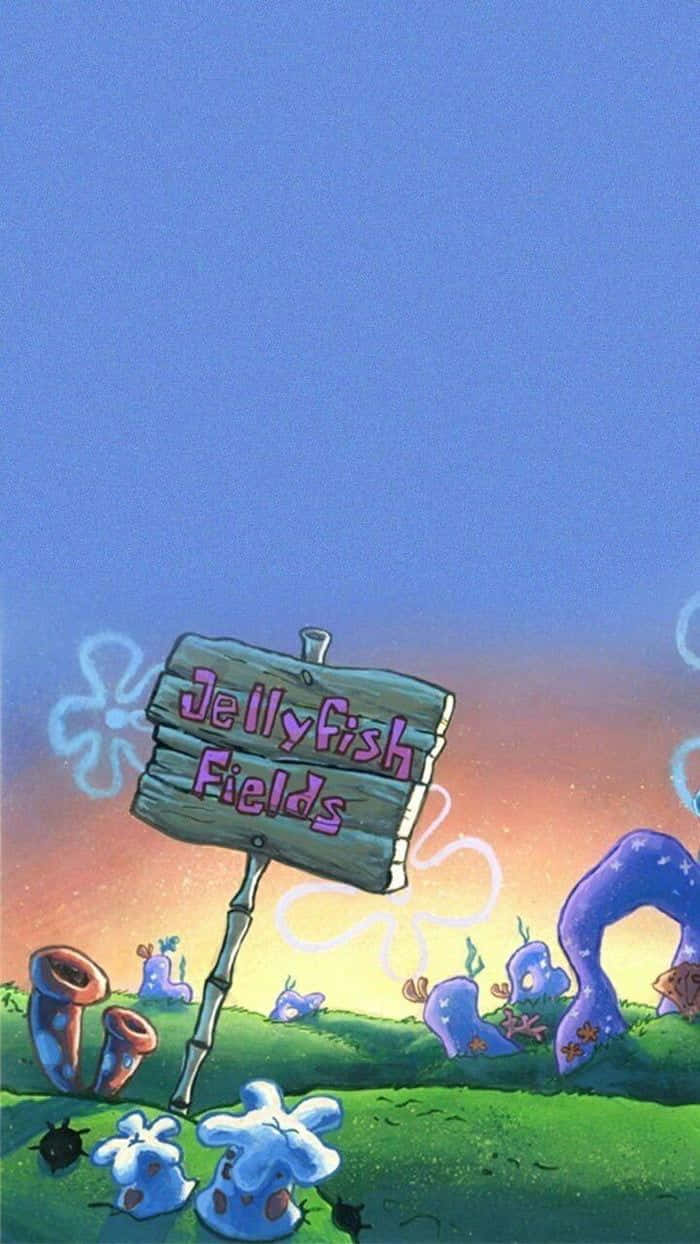 Sunset At Jellyfish Fields Wallpaper