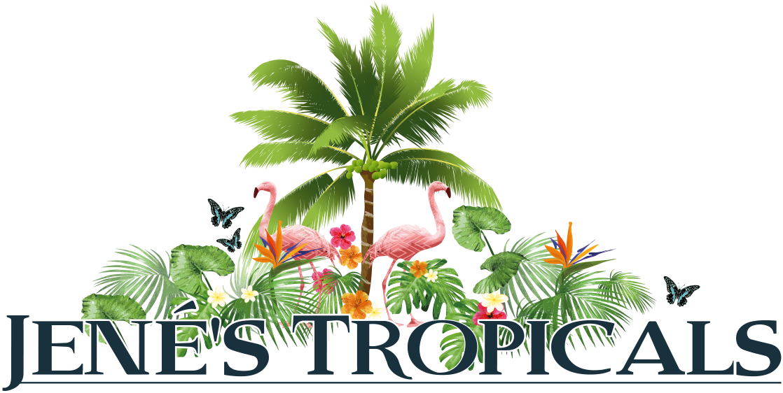 Jenes Tropicals Logo Flamingos Palm Tree PNG