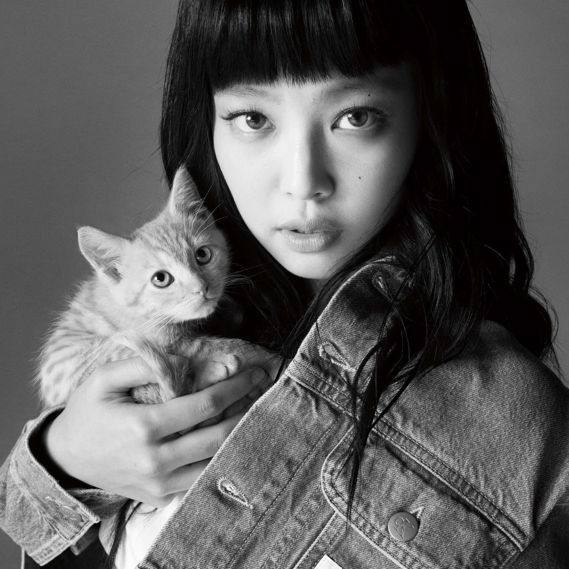 Jennie Kim With A Kitten Picture