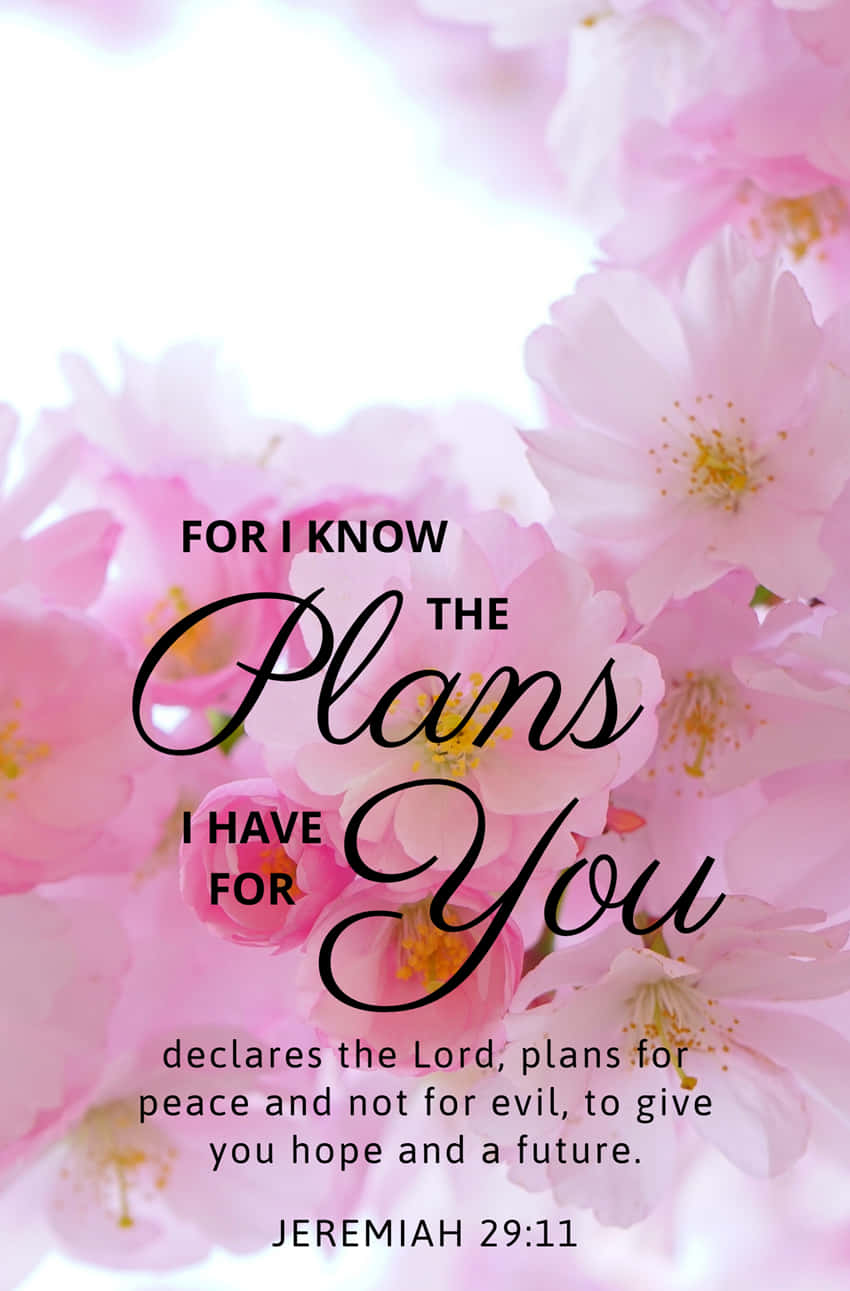 "For I know the plans I have for you, declares the Lord. Plans to prosper you and not to harm you, plans to give you hope and a future. -Jeremiah 29:11" Wallpaper