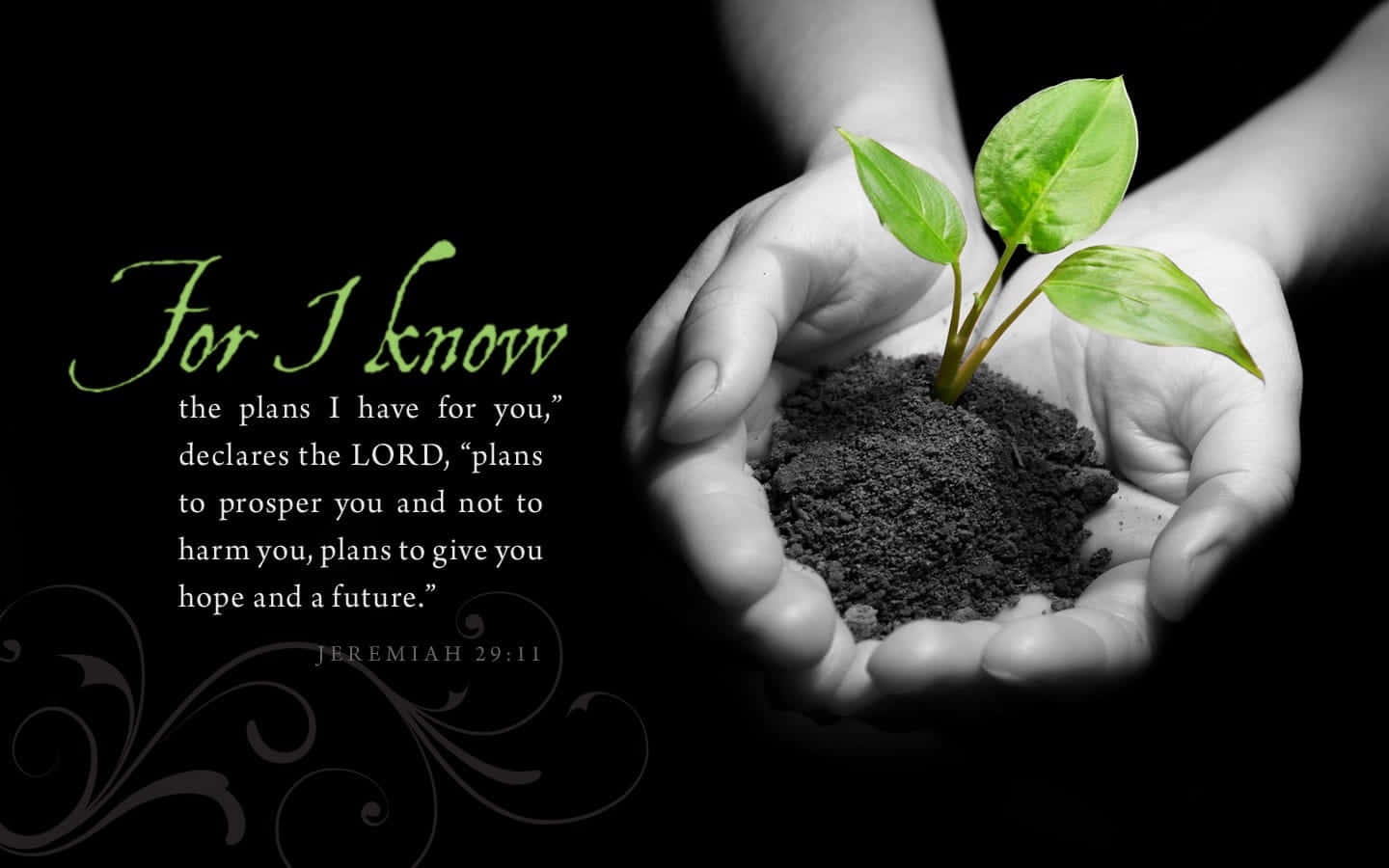 There Is Hope In God's Plans Wallpaper
