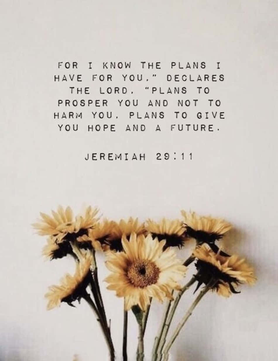 “For I know the plans I have for you,” declares the Lord. Wallpaper