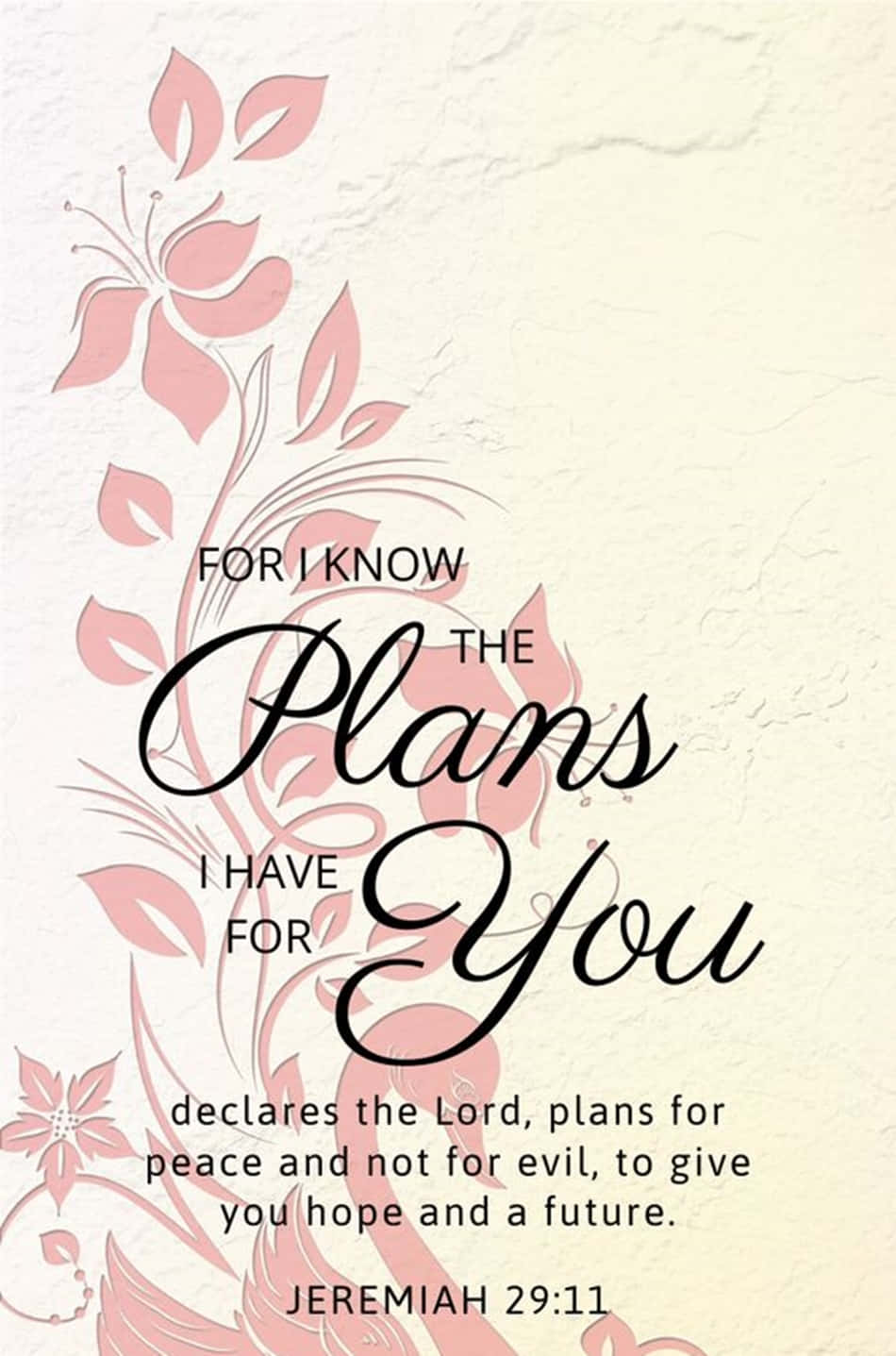 A Poster With The Words For I Know The Plans I Have You Wallpaper