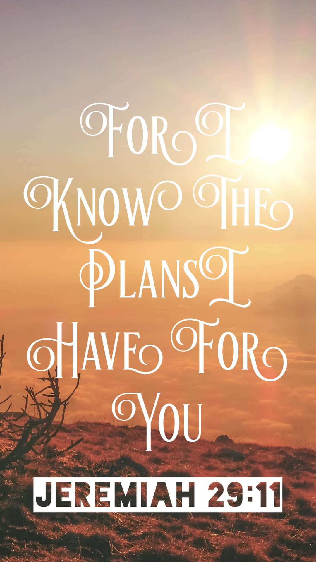 Jeg kender planterne, jeg har til dig, Jeremia 21:11. Wallpaper