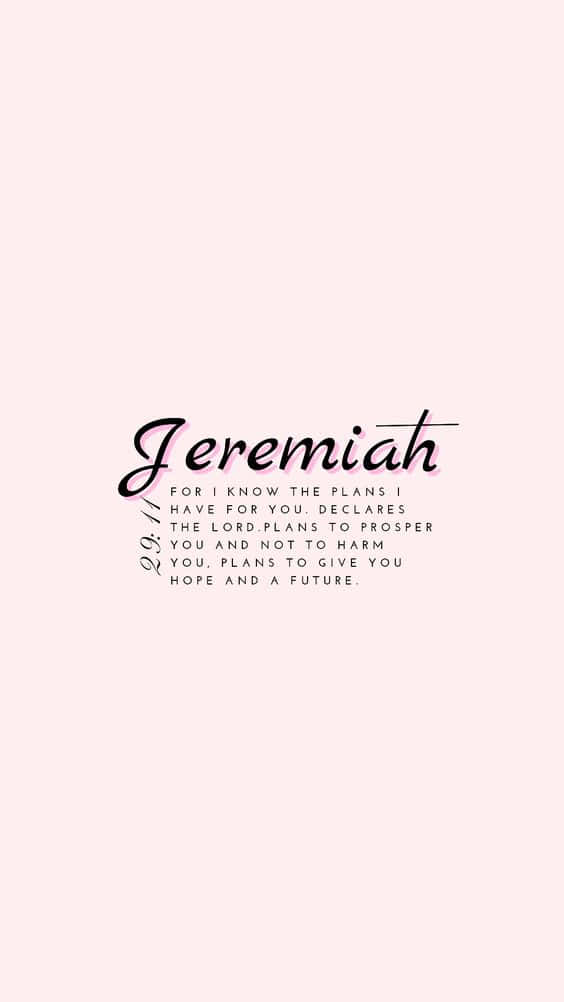 Jeremiah 29:11 Pink Baggrund Wallpaper