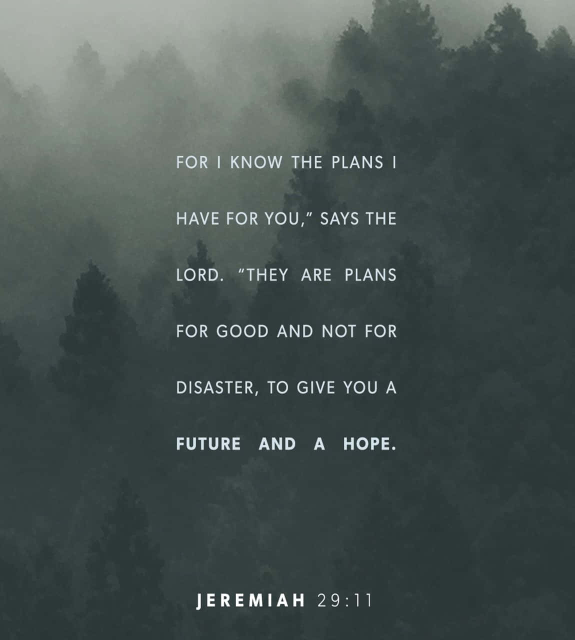 Jeremiah 11:11 - For I Know The Plans I Have For You Says The Lord Good Plans For The Future And Wallpaper
