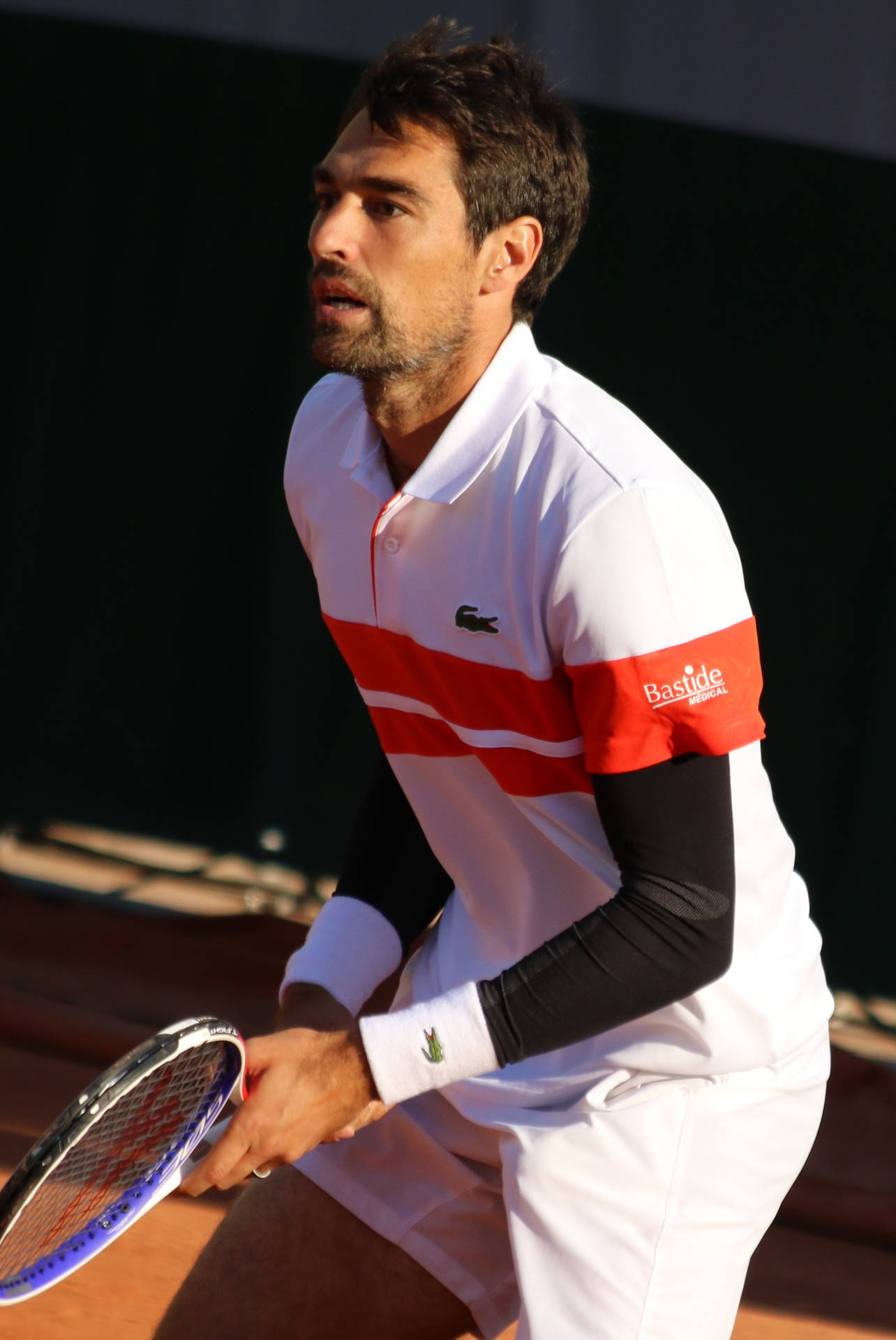 Jeremy Chardy, Professional Tennis Player, Lacoste Sponsored Athlete Wallpaper