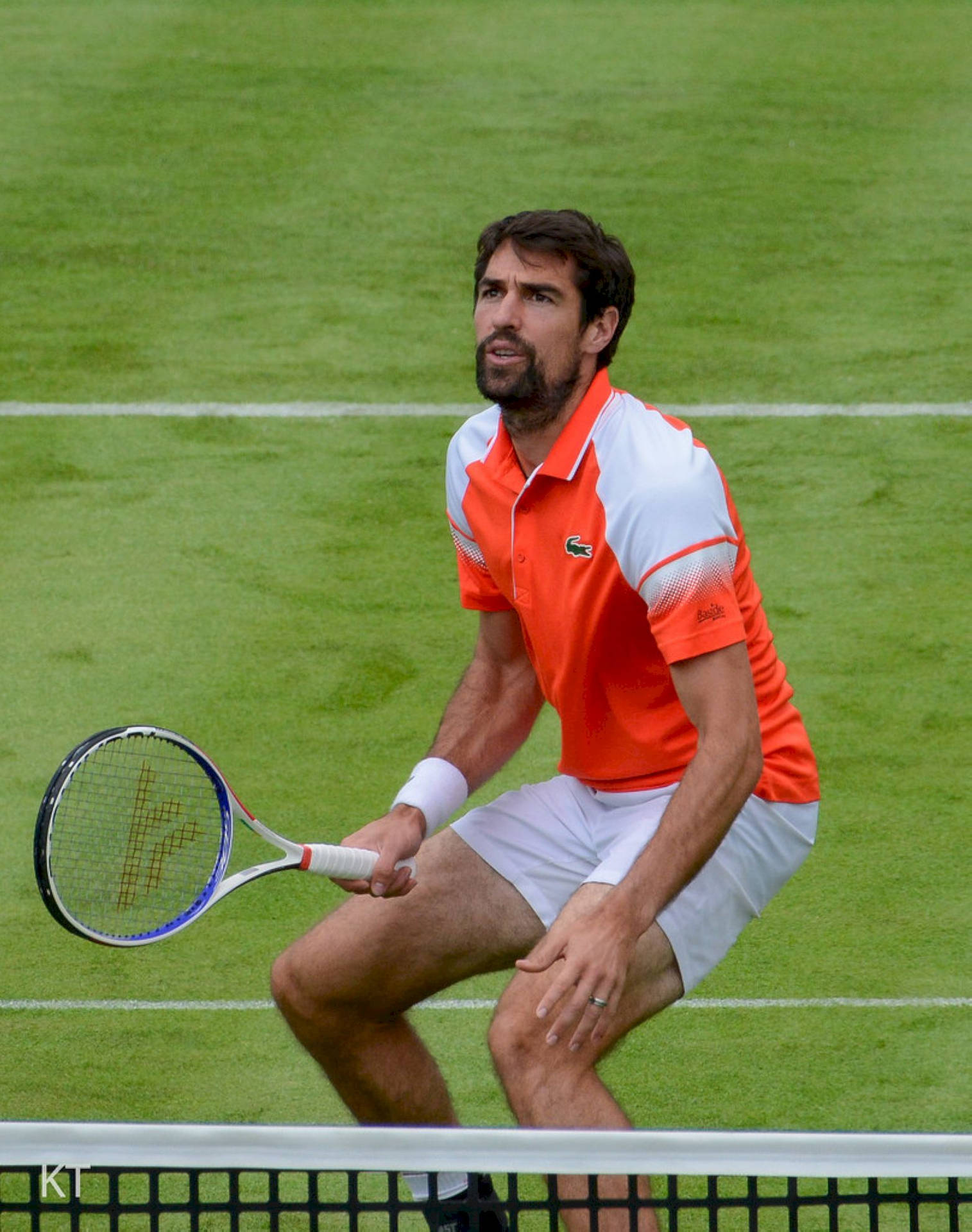 "Professional Tennis Player Jeremy Chardy in Action on a Green Court" Wallpaper