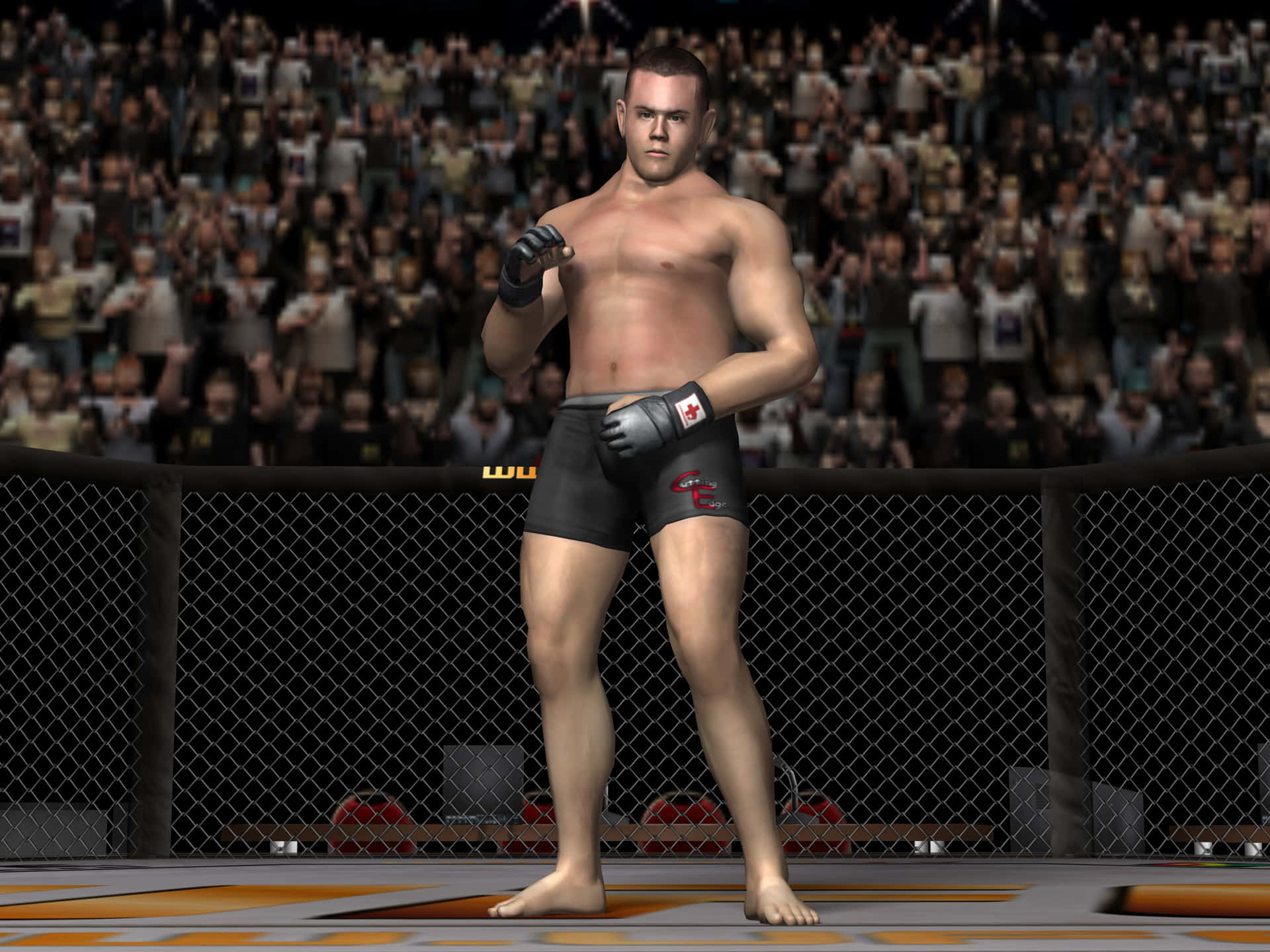 Jeremy Horn MMA 3D Spilsimulering Wallpaper