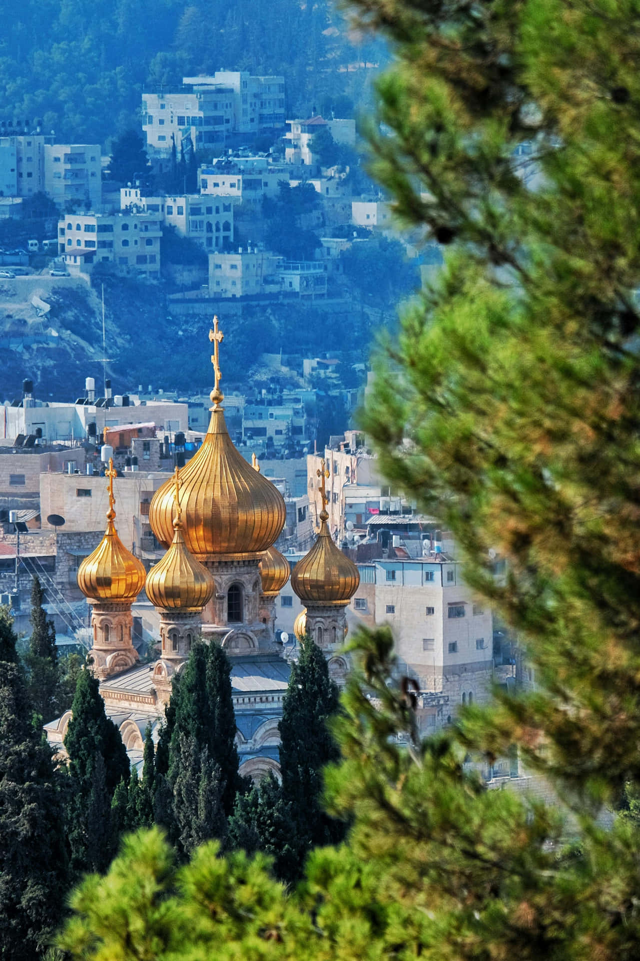 Jerusalem_ Golden_ Domes_ Amidst_ Greenery Wallpaper