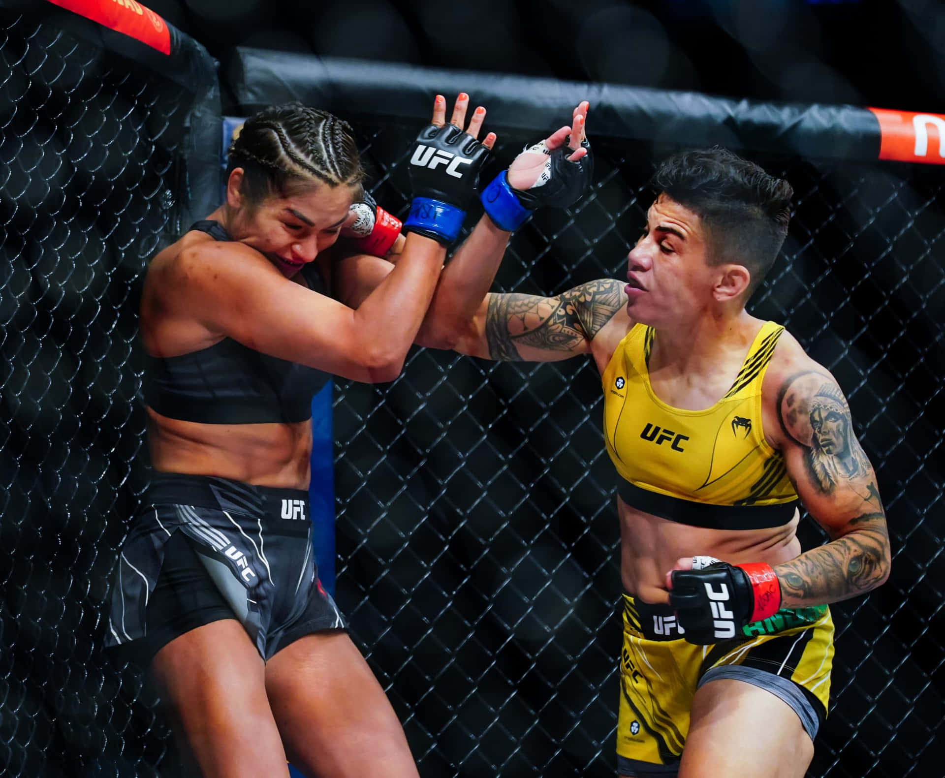 Jéssica Andrade Punching Cynthia Cavillo Wallpaper