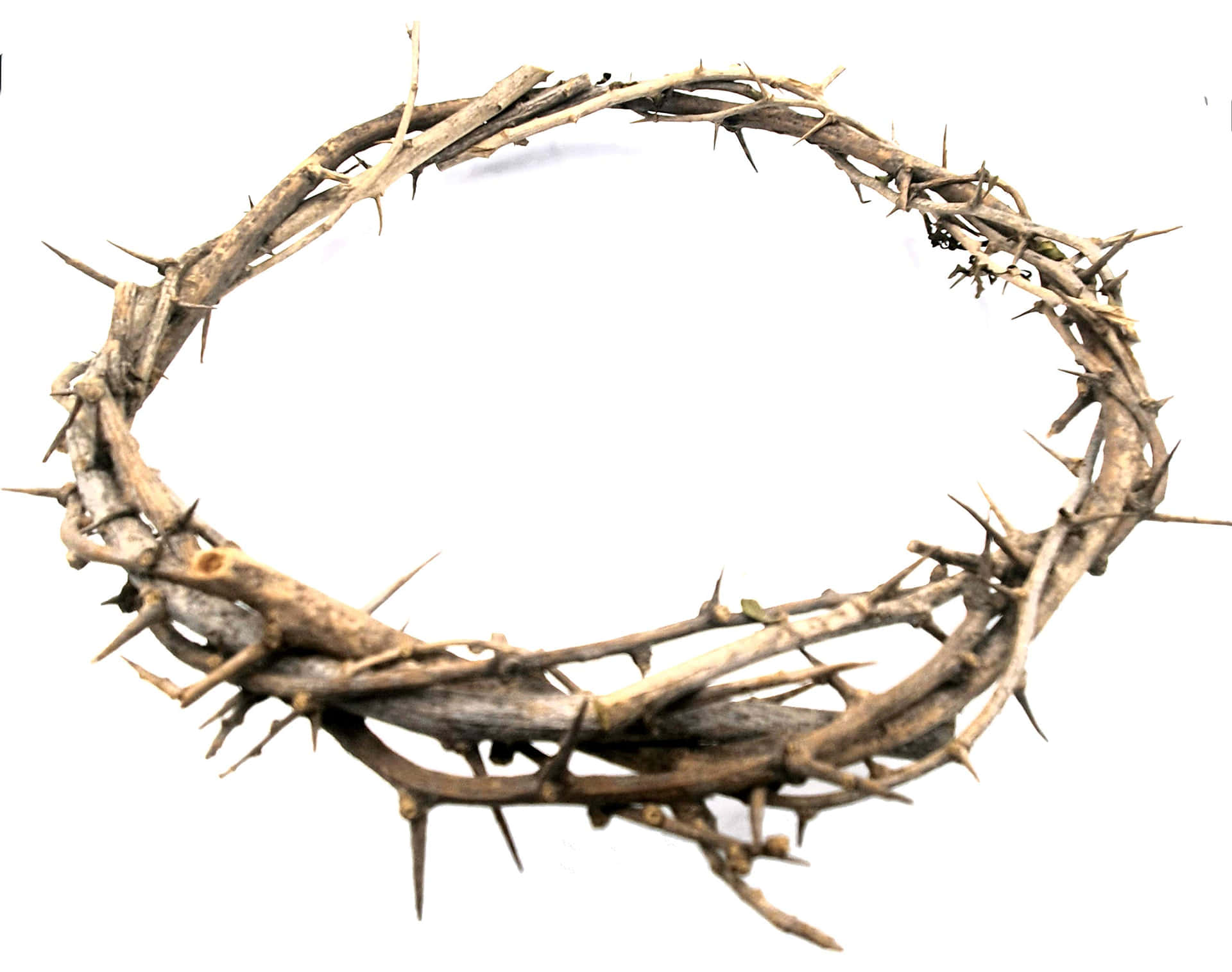 Jesus Christ wearing the Crown of Thorns Wallpaper