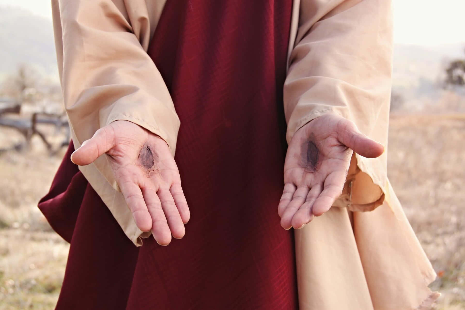 Jesus God Nailed Scarred Hands Picture
