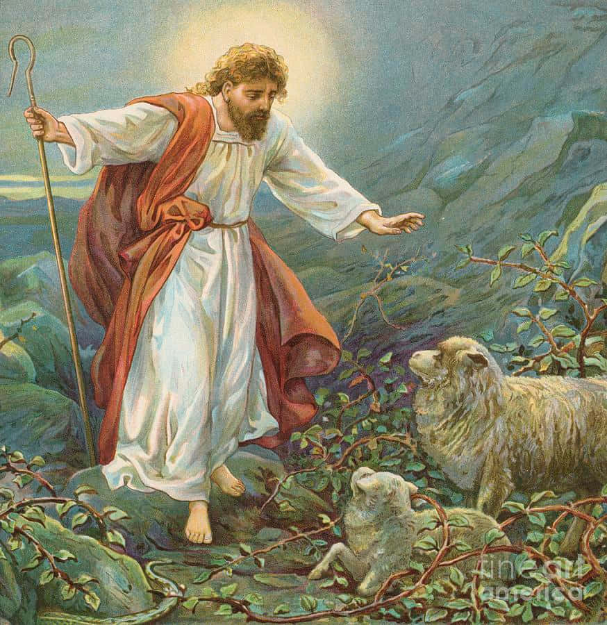 Jesuschrist Mit Gefangenem Schaf In Weinreben Bild