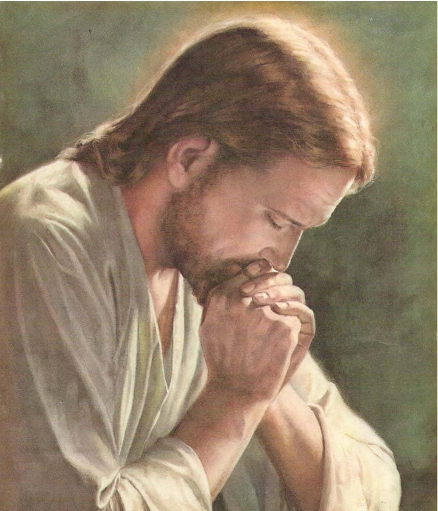 Jesúsen Oración Fondo de pantalla