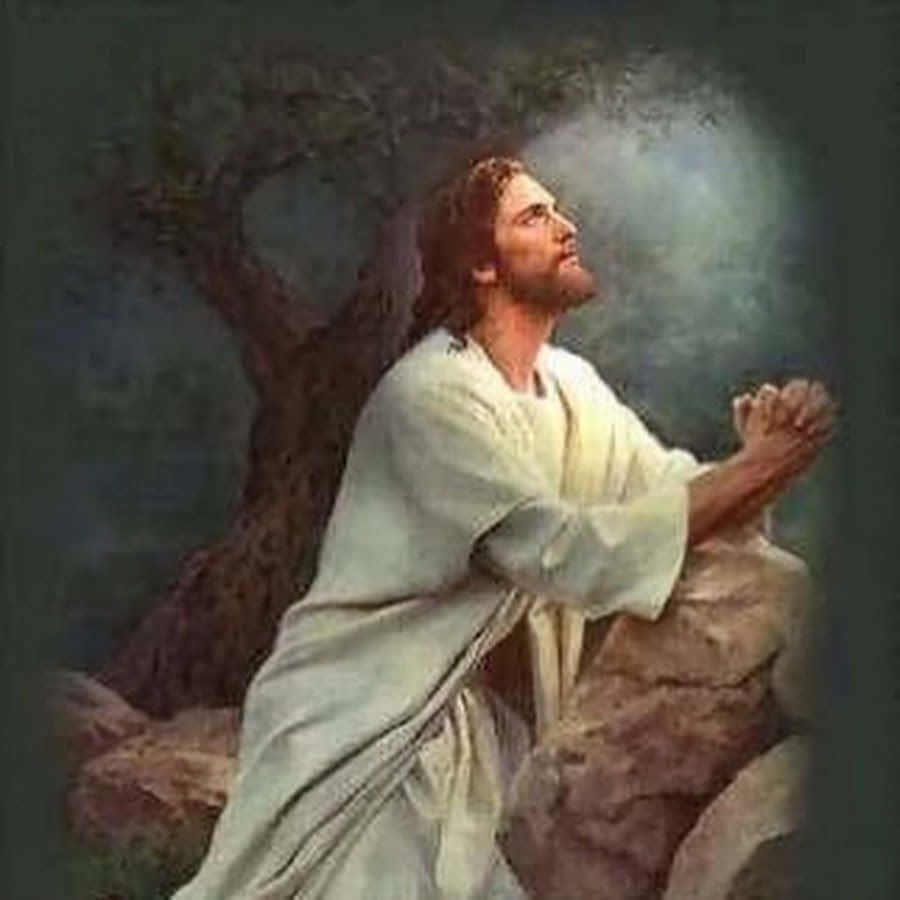 Jesus Kneeling Down Praying In The Rock Wallpaper