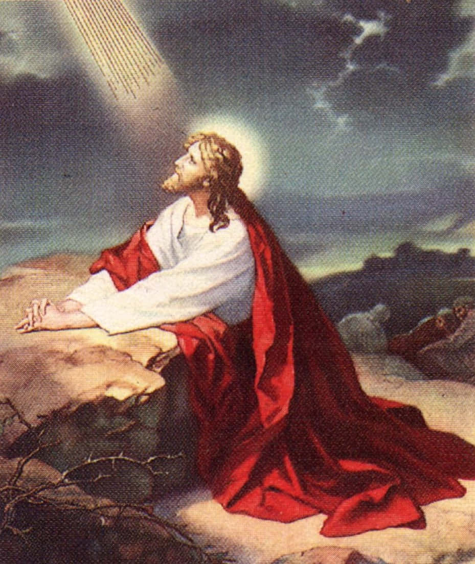 Jesus praying in the Garden of Gethsemane. Wallpaper