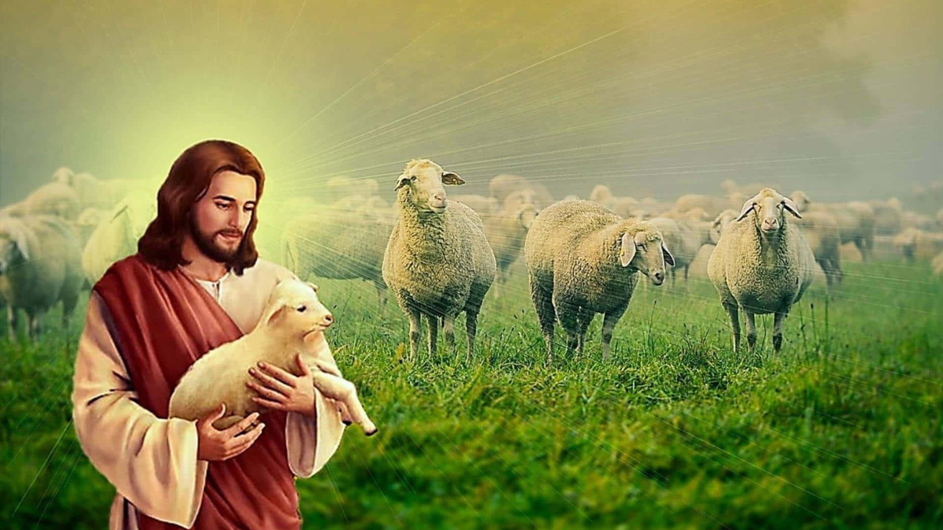 Jesúsguiando Tiernamente A Sus Ovejas. Fondo de pantalla