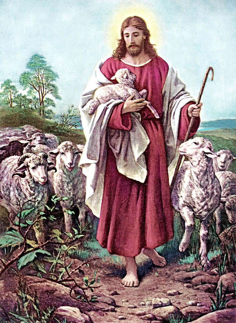 [100+] Jesus With Sheep Wallpapers | Wallpapers.com