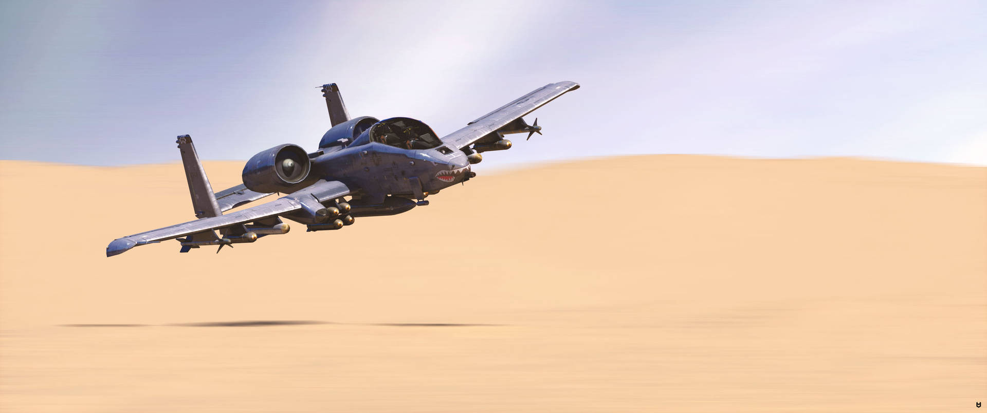 Jet Fighter In The Desert