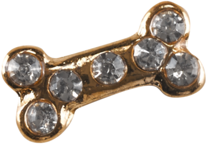 Jeweled Gold Dog Bone PNG