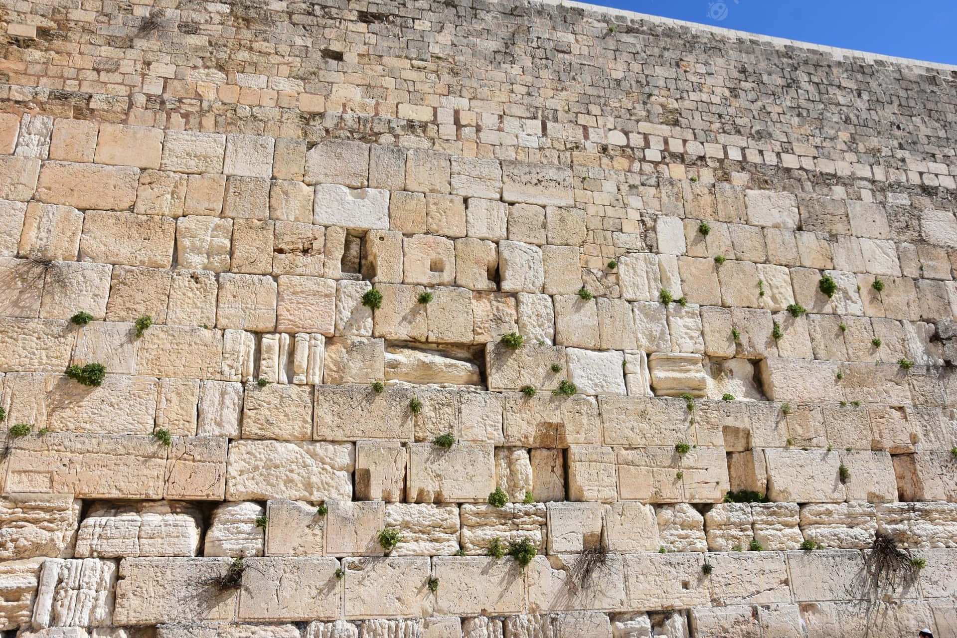 Judiskarötter Västra Muren (this Translation Refers To The Iconic Jewish Holy Site Commonly Known As The Western Wall, Or The Wailing Wall In English. It Would Make A Suitable Subject For A Wallpaper Design.) Wallpaper