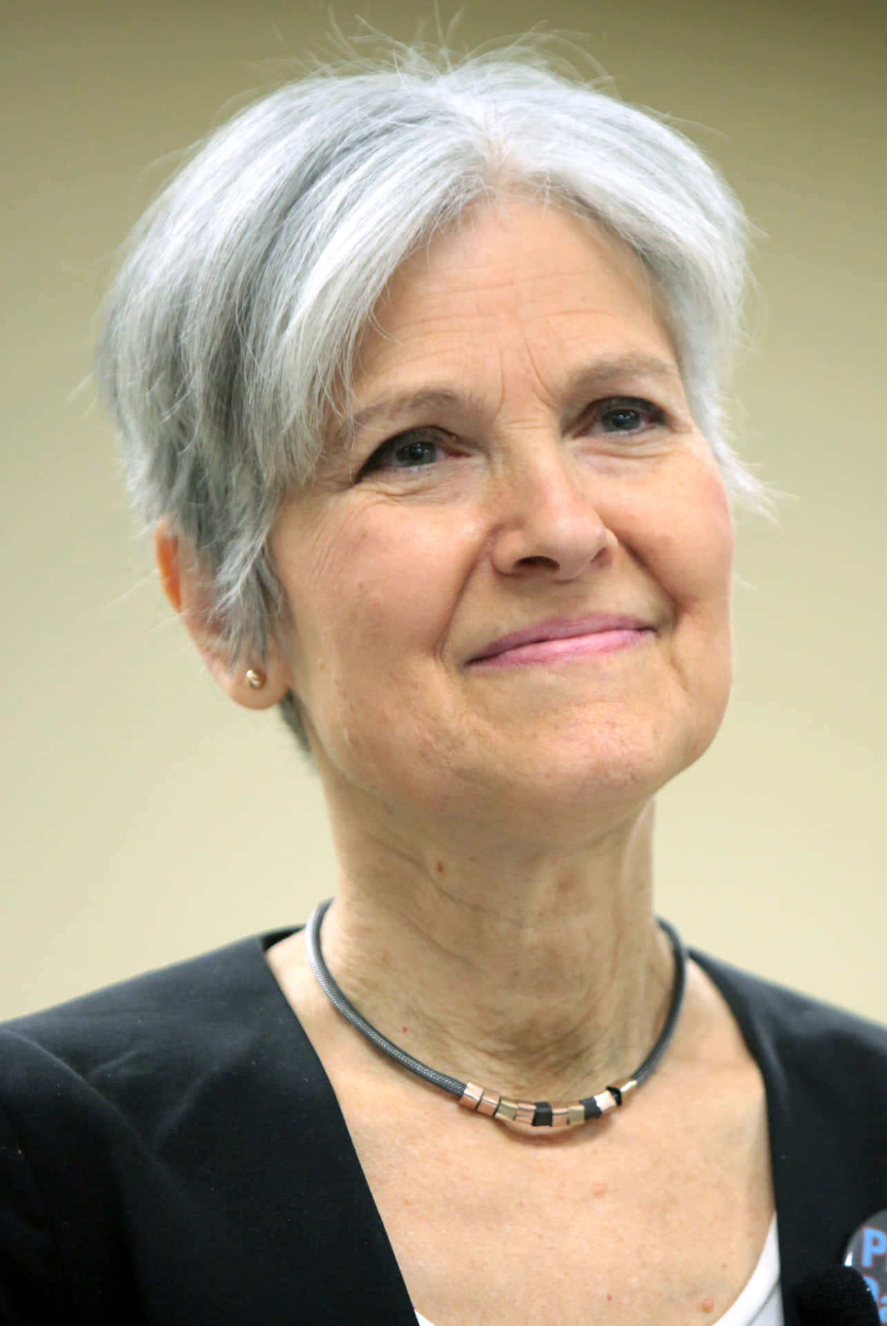 Jill Stein Founder Of Local Recycling Committee Wallpaper