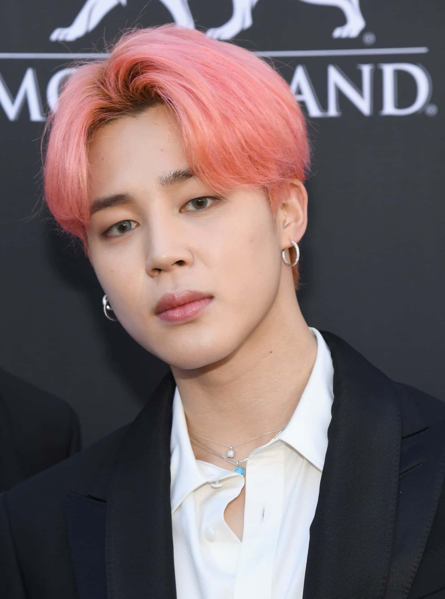 Jimin(박지민) Dei Bts In Bianco E Nero.