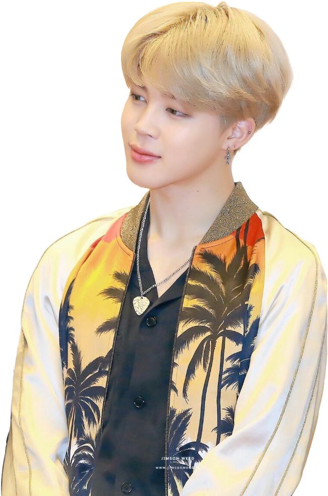 Jiminin Tropical Shirt PNG